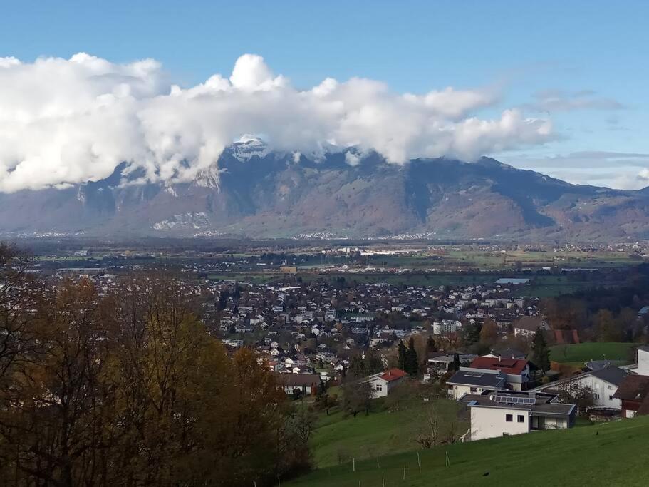 Wohnung Rheintal Im Alpenvorland Batschuns 外观 照片