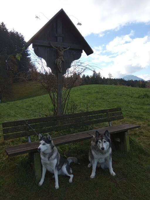 Wohnung Rheintal Im Alpenvorland Batschuns 外观 照片
