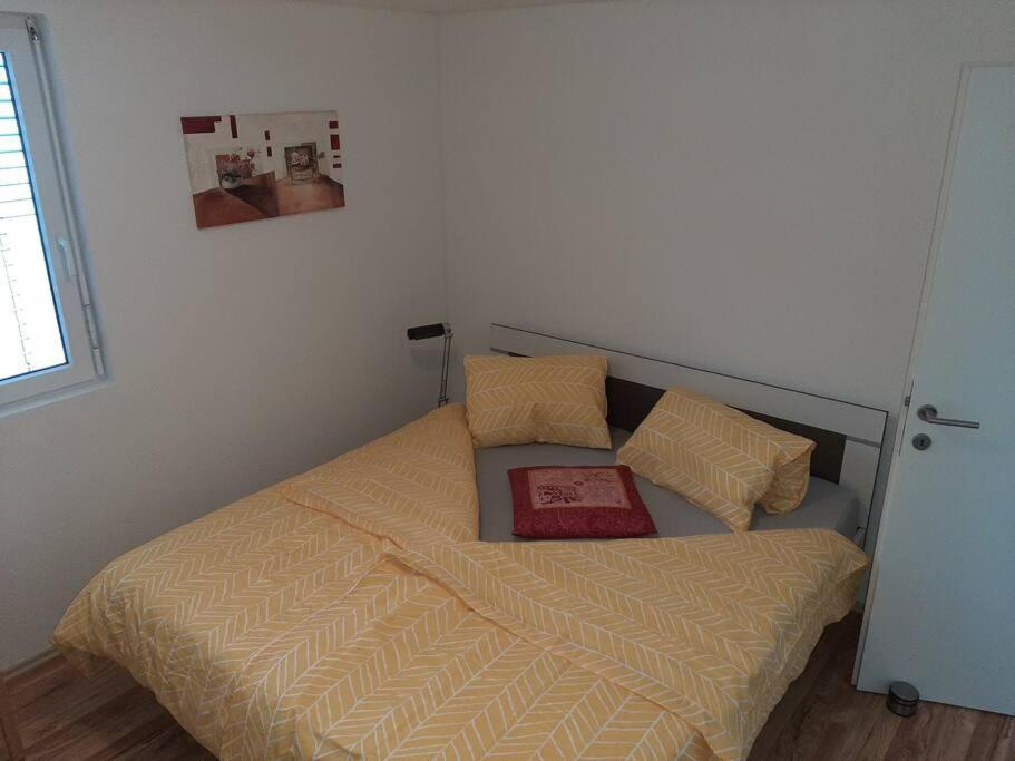 Wohnung Rheintal Im Alpenvorland Batschuns 外观 照片