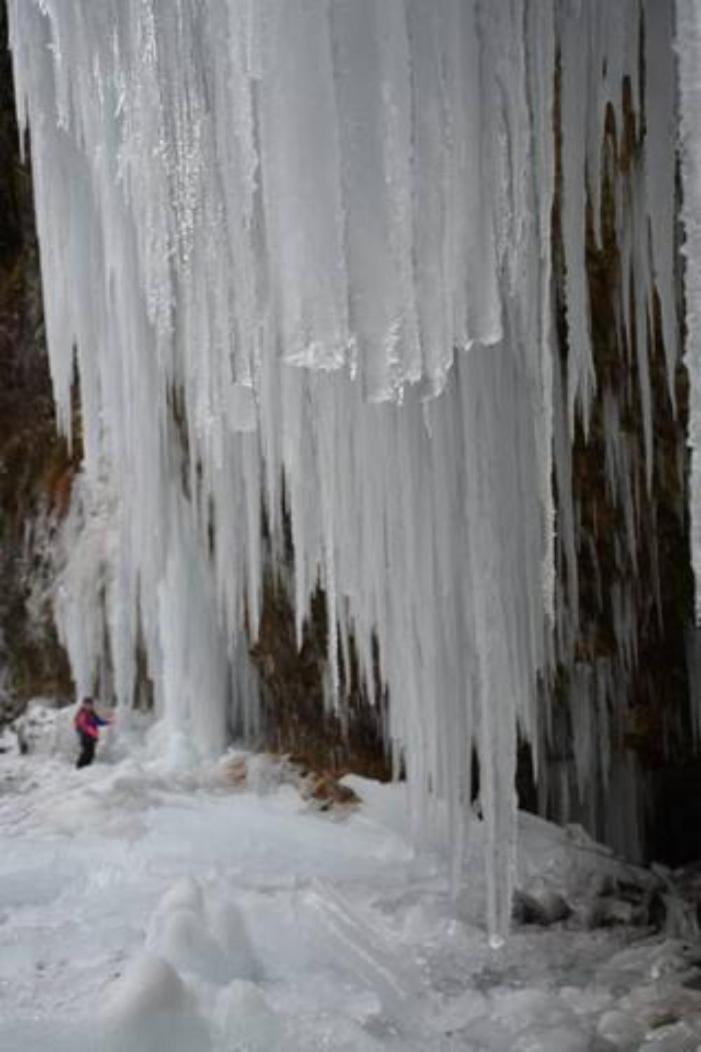 Wohnung Rheintal Im Alpenvorland Batschuns 外观 照片