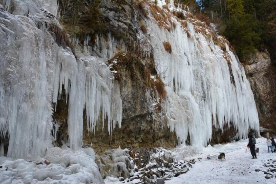 Wohnung Rheintal Im Alpenvorland Batschuns 外观 照片