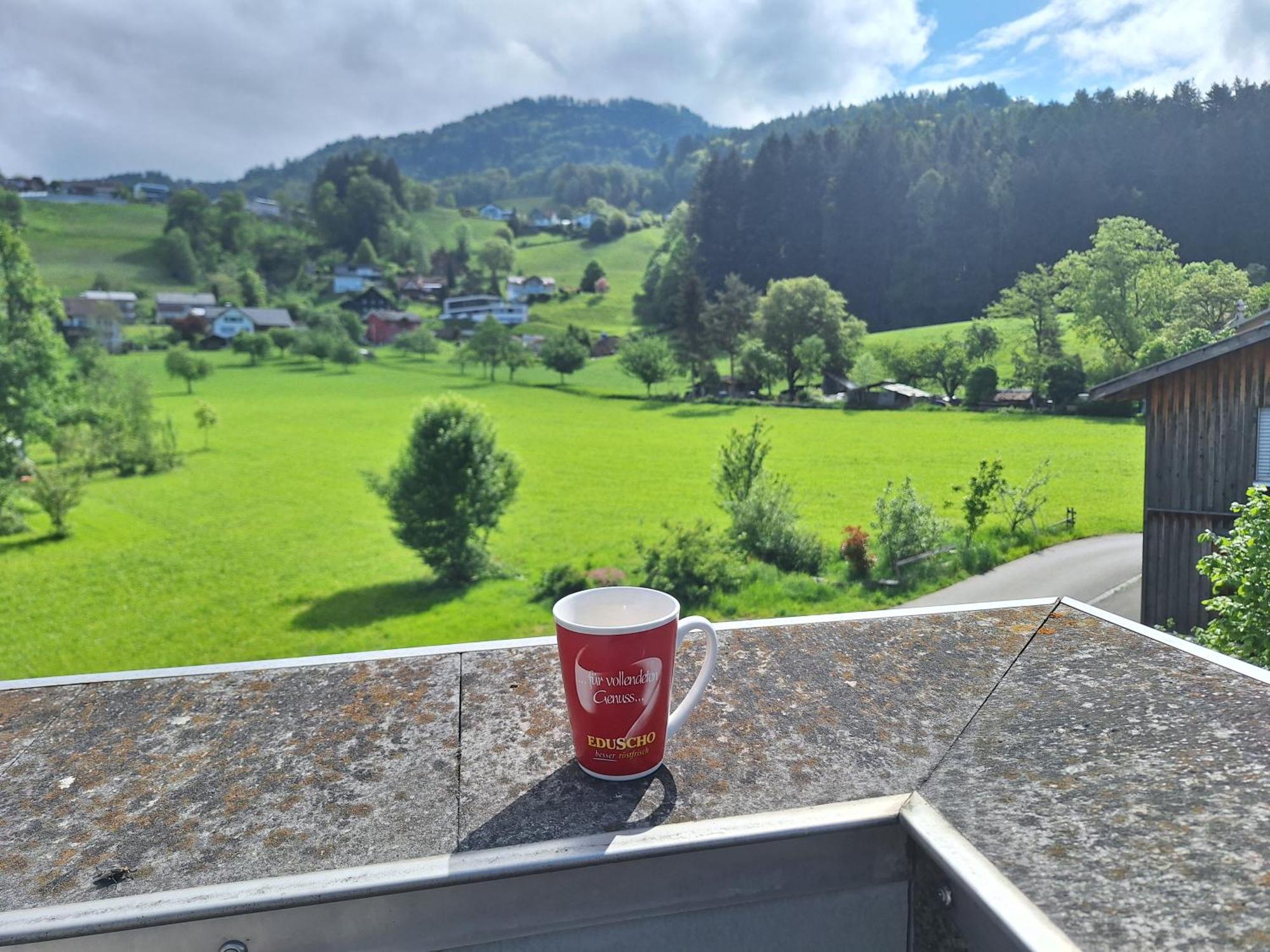 Wohnung Rheintal Im Alpenvorland Batschuns 外观 照片