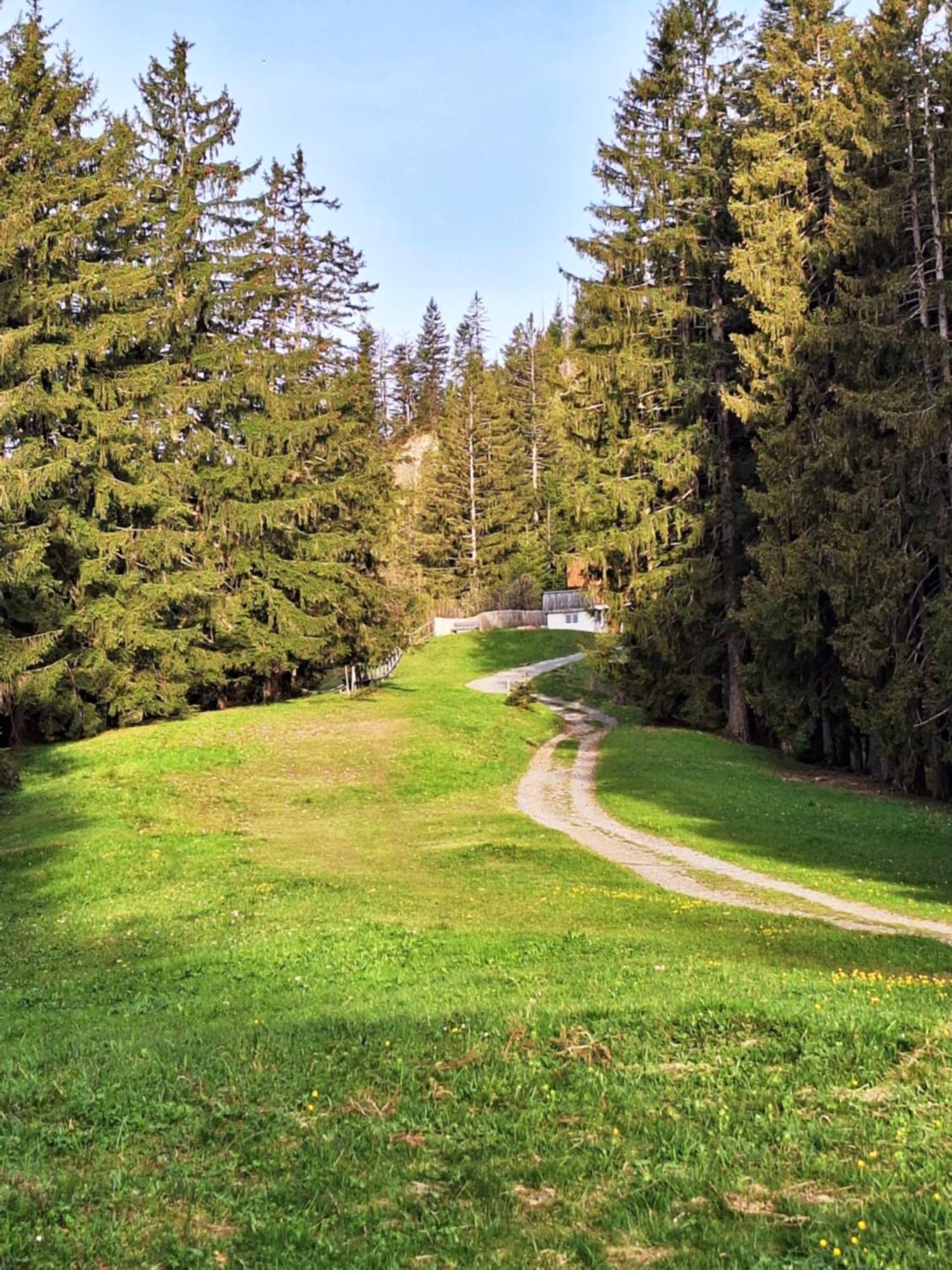 Wohnung Rheintal Im Alpenvorland Batschuns 外观 照片