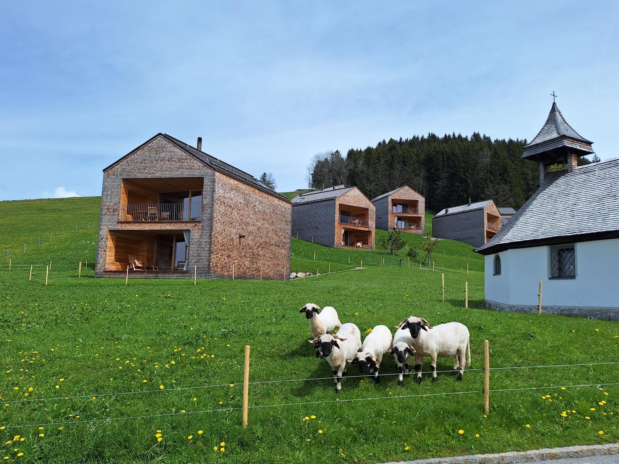 Wohnung Rheintal Im Alpenvorland Batschuns 外观 照片