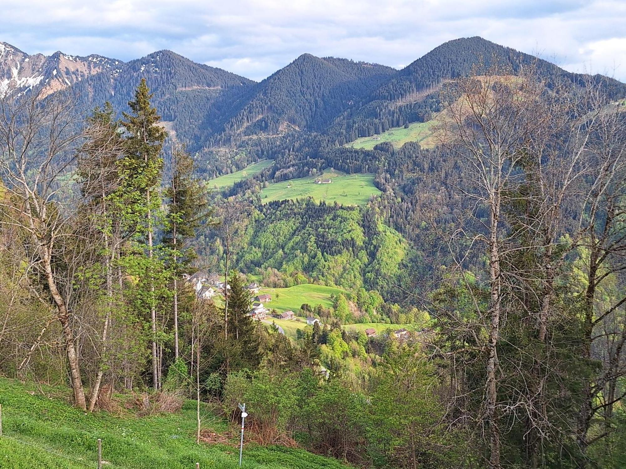 Wohnung Rheintal Im Alpenvorland Batschuns 外观 照片
