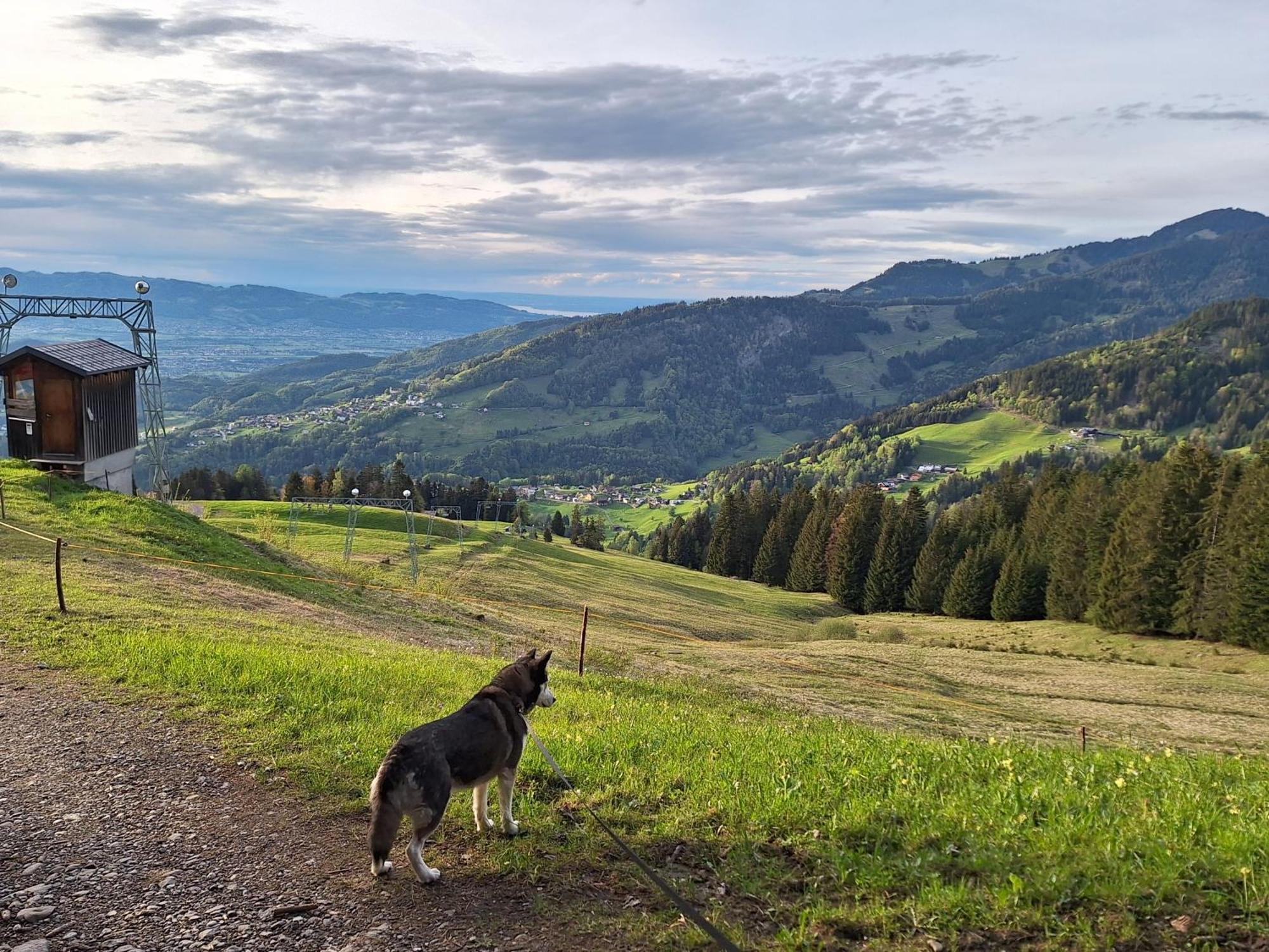Wohnung Rheintal Im Alpenvorland Batschuns 外观 照片