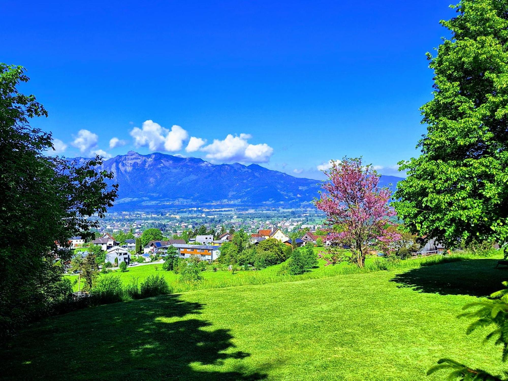 Wohnung Rheintal Im Alpenvorland Batschuns 外观 照片
